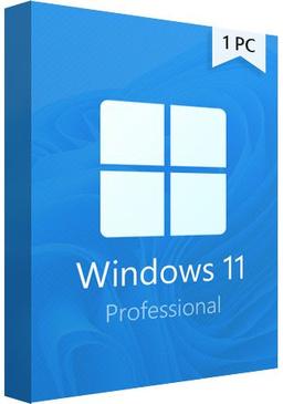 Microsoft Windows 11 Professional – OEM Key - Lifetime License Key – Online Activation